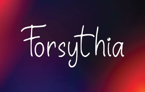 Forsythia: The Handwritten Font That Elevated My Brand Identity