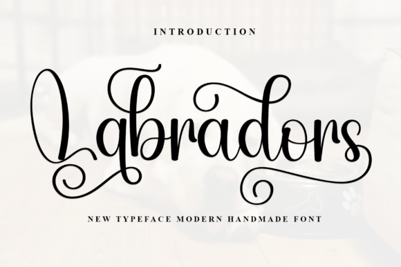 Labradors Typeface: A Playful Script for Modern Web Design